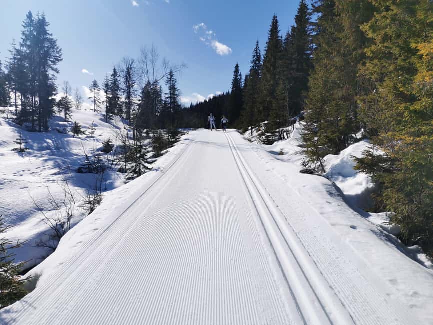 Oslo: Cross Country Skiing Equipment with private lesson - Learning the Basics on Groomed Oslomarka Tracks