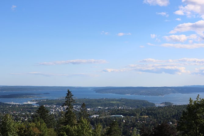 Oslo Panorama Tour with Holmenkollen Ski Jump and Vigeland Park - Riding through Oslo’s main sights