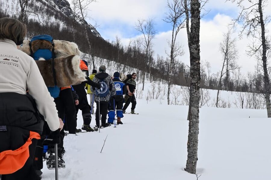 Oslo: Snowshoeing in the Forest with Norwegian BBQ - A quiet Oslo forest with room to roam