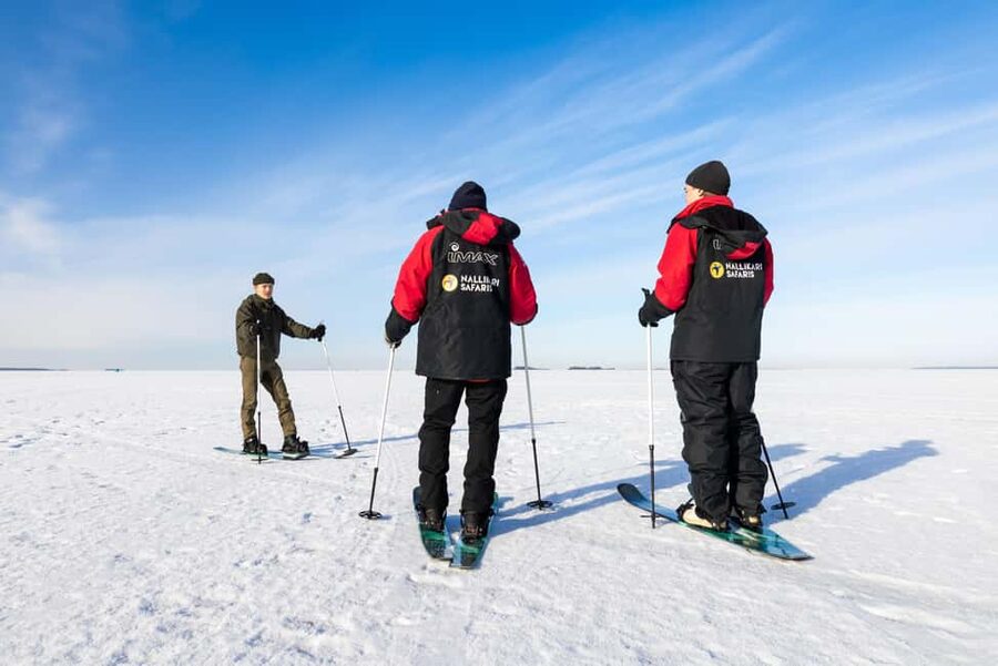 Oulu: Arctic Sea Snowshoe Experience - Key points to know before booking