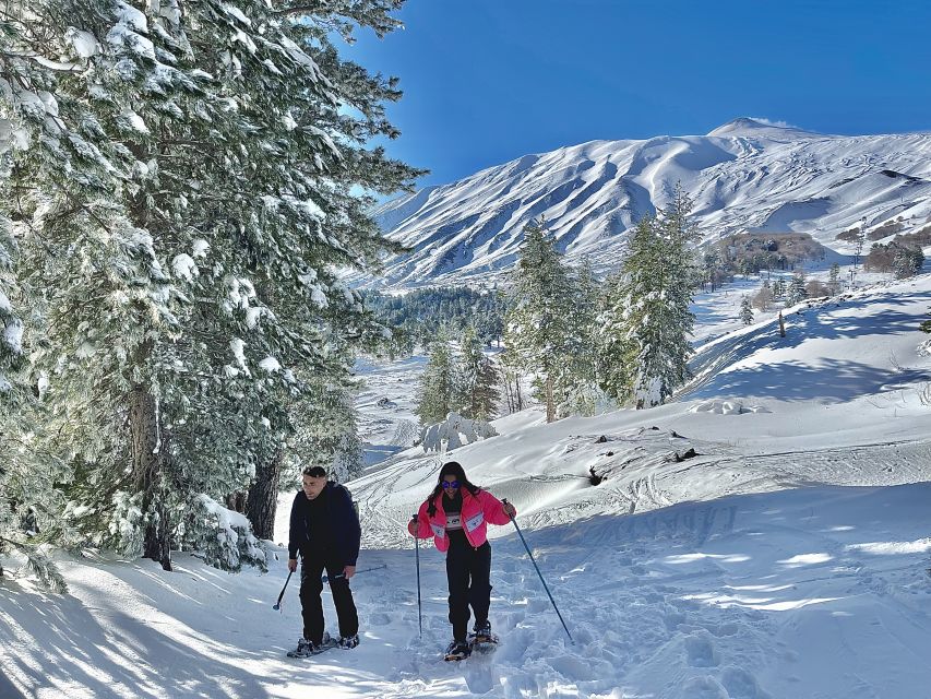 Piano Provenzana: Guided Mt. Etna Snowshoeing Trek - Walking through the snowy forest