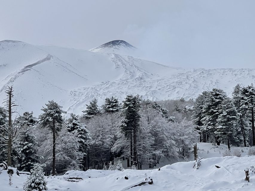 Piano Provenzana: Guided Mt. Etna Snowshoeing Trek - Fitness, health, and the feel of the walk