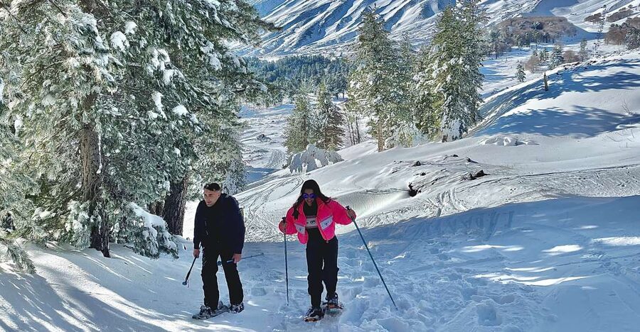 Piano Provenzana: Guided Mt. Etna Snowshoeing Trek - Starting at Piano Provenzana