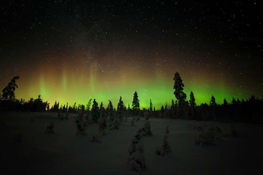 Polar Night Snowshoe Trek - Looking for grouse beneath the snow