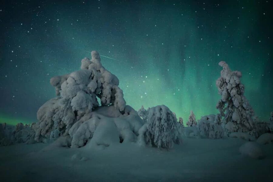 Polar Night Snowshoe Trek - Warm drinks, snacks, and useful pauses
