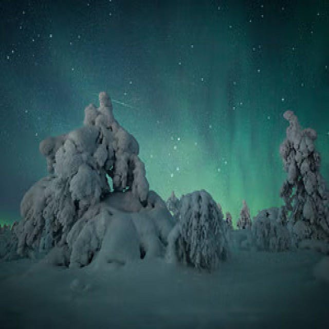 Polar Night Snowshoe Trek - How the guide can change the route