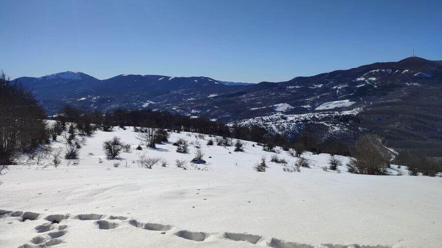 Potenza: Guided Mountain Walking Tour with Snowshoes - The final push to Monte Arioso