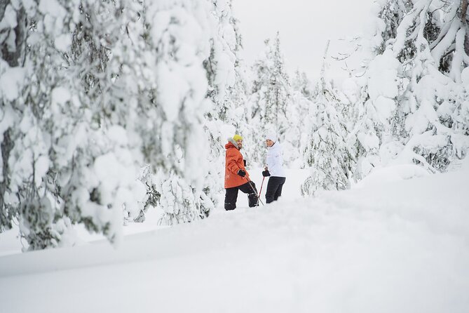 Premium Snowshoeing in Pyhä-Luosto National Park - Snowshoeing down into Pyhä-Luosto National Park