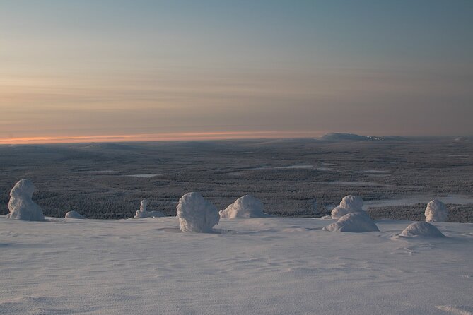 Premium Snowshoeing in Pyhä-Luosto National Park - Weather can change the plan