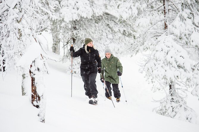 Premium Wilderness Skiing in Pyhä-Luosto National Park - Key points to know before you book
