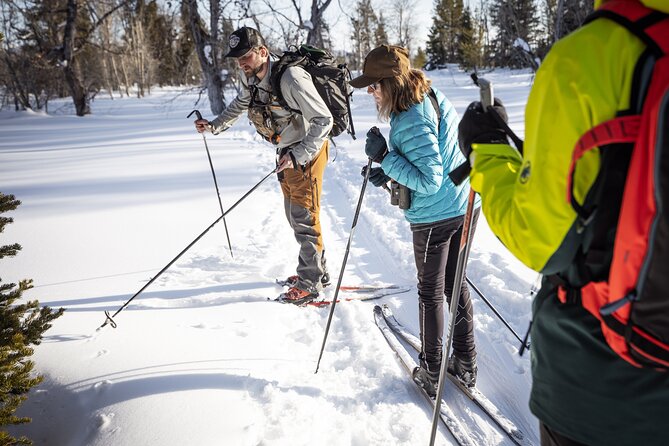 Private 4 Hour Beginner Cross Country Skiing in Grand Teton - What your four hours look like