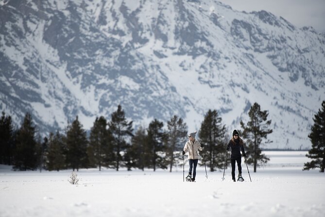 Private 4 hour Snowshoe in Grand Teton National Park - The private format and group size