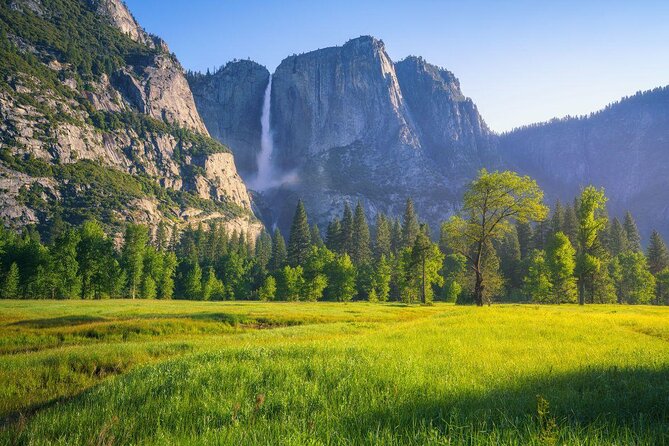 Private Guided Snowshoe Hike in Yosemite - Key points at a glance
