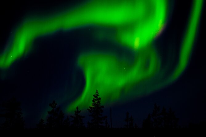 Private Northern Lights Tour With Skis Or Snowshoes in Pyhä - What the three hours demand from you