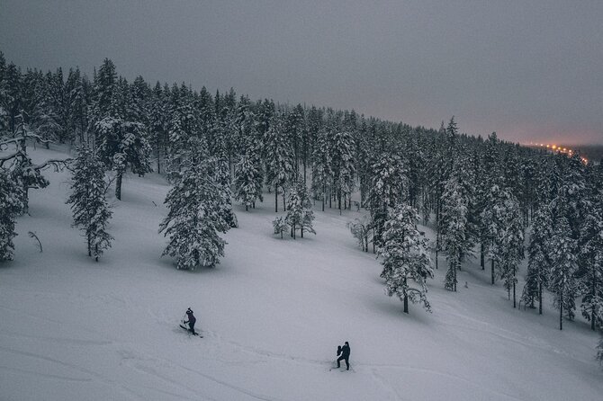 Private Northern Lights Tour With Skis Or Snowshoes in Pyhä - Who will get the most from this outing