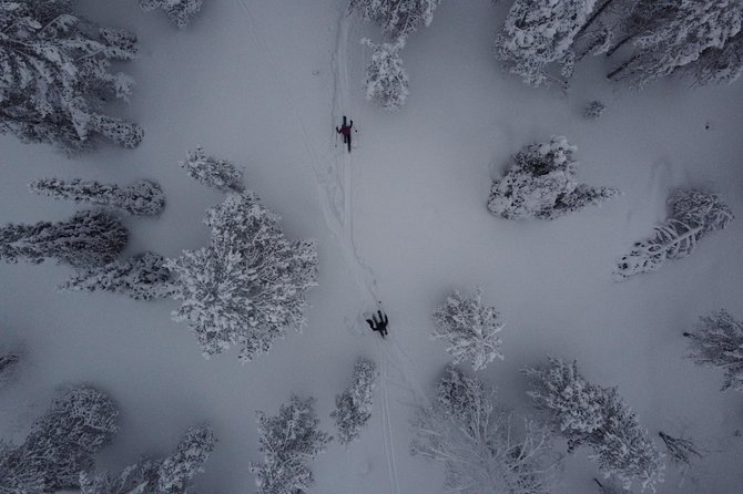 Private Northern Lights Tour With Skis Or Snowshoes in Pyhä - Through Pyhä-Luosto National Park after dark