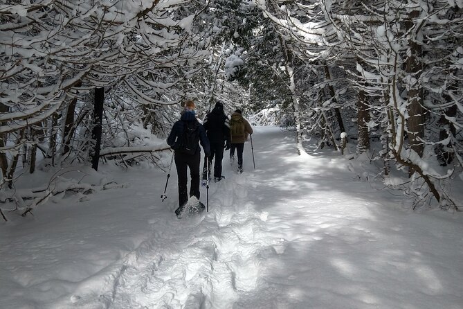 Private Nottawasaga Bluffs Caves Snowshoe, Collingwood/Creemore - The value of a guide on this particular trail