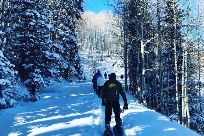 Private Park City Snowshoe Excursions (9:30am/12:30pm start time) - Why a private guide changes the experience