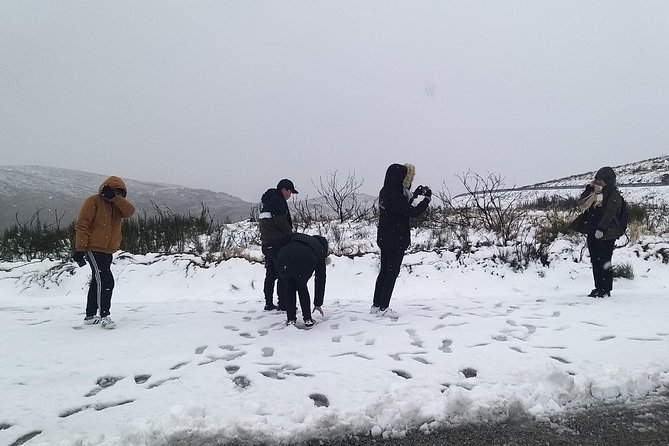 Private Serra da Estrela Gastronomy & Snow Tour from Porto - Leaving Porto in a private executive vehicle