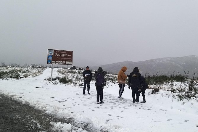 Private Serra da Estrela Gastronomy & Snow Tour from Porto - Torre at 1,993 metres