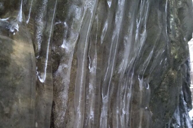 Private Singhampton Caves Snowshoe, Collingwood/Blue Mountain - Singhampton Caves or Nottawasaga Bluffs?