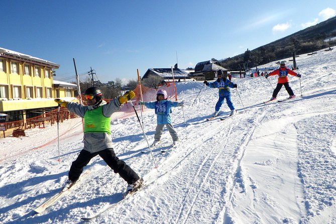 Private ski lesson for family or group(Transport included ) - The afternoon lesson and 3:30 pm finish