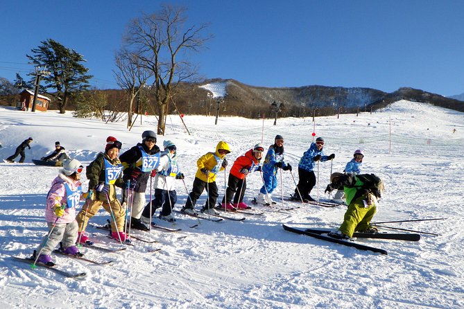 Private ski lesson for family or group(Transport included ) - A lesson built around different ability levels