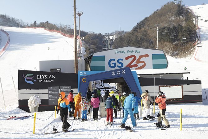 Private Ski Tour(Lesson) near Seoul at Elysian Gangchon Resort - Families, couples, and mixed-skill groups