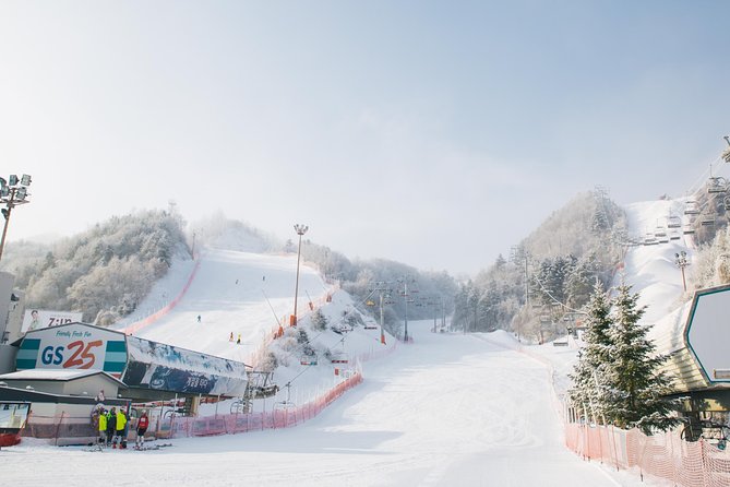 Private Ski Tour(Lesson) near Seoul at Elysian Gangchon Resort - What the two-hour lesson feels like