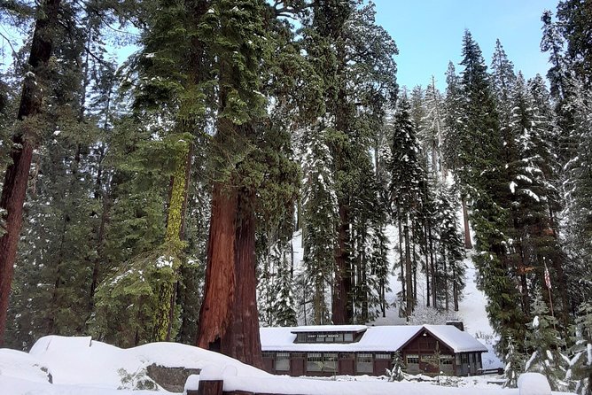 Private Snowshoe Adventure - Sequoia National Park - Why winter makes Giant Forest feel different