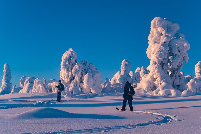 Private Snowshoe or Ski Adventure in Lapland from Rovaniemi - Walking through snow-covered forests