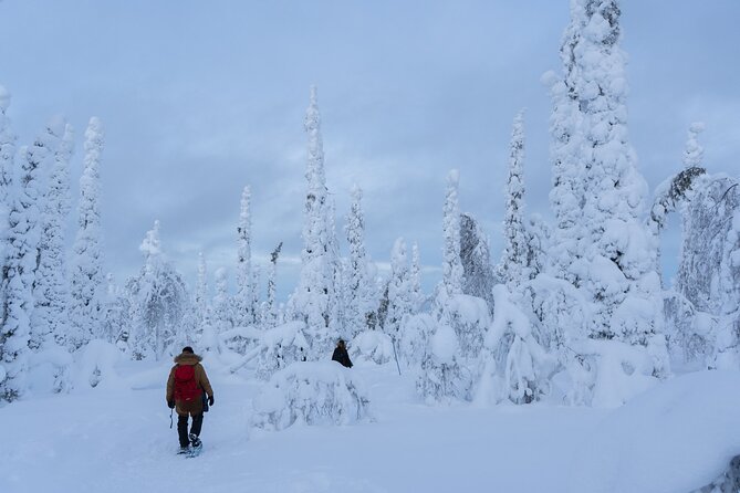 Private Snowshoe or Ski Adventure in Lapland from Rovaniemi - A seven-hour day with private transport