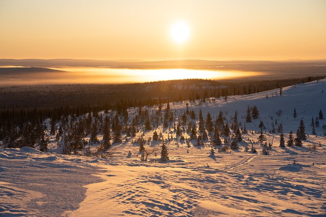 Private Snowshoe or Ski Adventure in Lapland from Rovaniemi - Is the $1,183.48 group price good value?