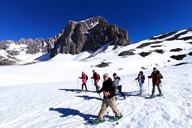 Private Snowshoe Route in Cantabria, Picos de Europa - Learning the basics of snowshoes