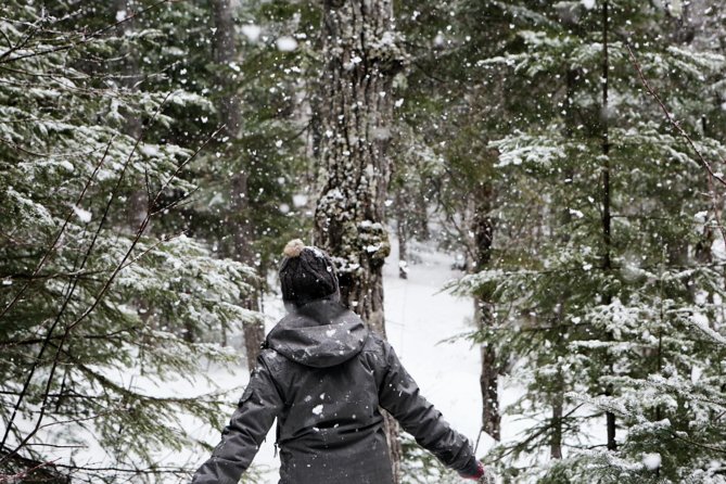 Private Snowshoeing Adventure from Badger Pass to Dewey Point - Snow-covered trees and open meadows on the way