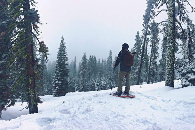 Private Snowshoeing Adventure from Badger Pass to Dewey Point - Gear, food, clothing, and the real cost