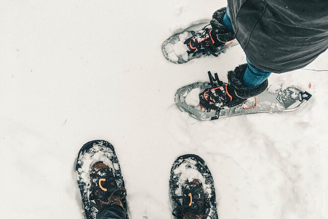 Private Snowshoeing Adventure from Badger Pass to Dewey Point - Booking details worth knowing