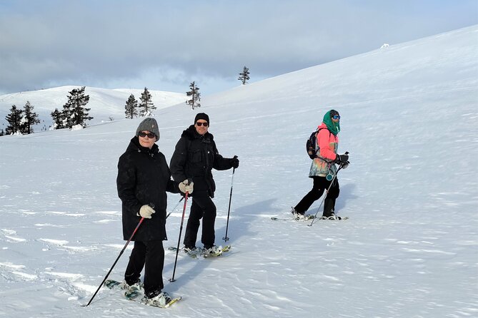 Private Snowshoeing in Levi - Practical details before you reserve