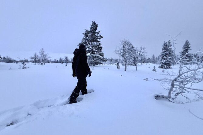 Private: Snowshoeing Safari in spectacular National Park - Two Hours Among the Pallas Fells