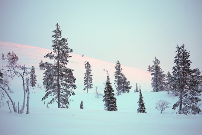 Private: Snowshoeing Safari in spectacular National Park - What to Wear and Bring