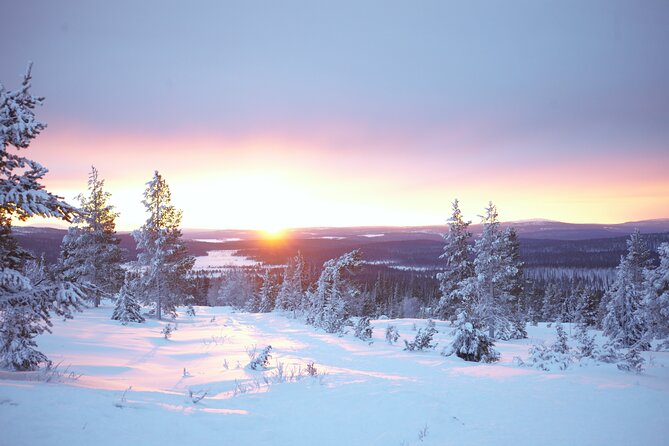 Private: Snowshoeing Safari in spectacular National Park - Lowry as Guide and Cameraman