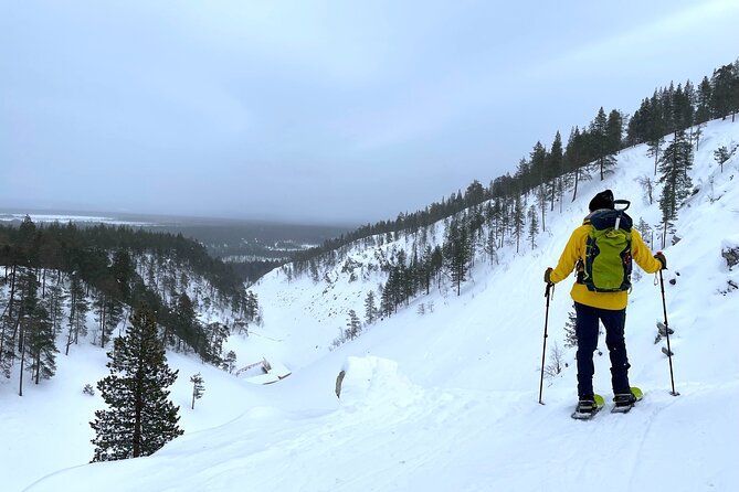 Private Snowshoeing Tour In Pyhätunturi With A Local Guide - Key points at a glance