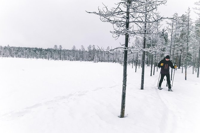 Private Snowshoeing Tour In Pyhätunturi With A Local Guide - Meeting at Luontotie 1 in Riemurotko