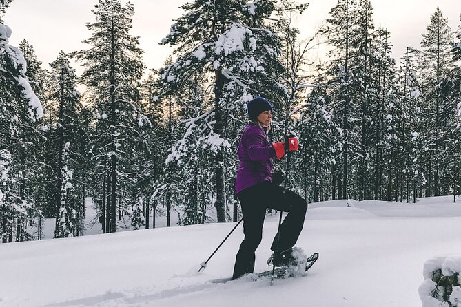 Private Snowshoeing Tour In Pyhätunturi With A Local Guide - Following animal tracks through the quiet