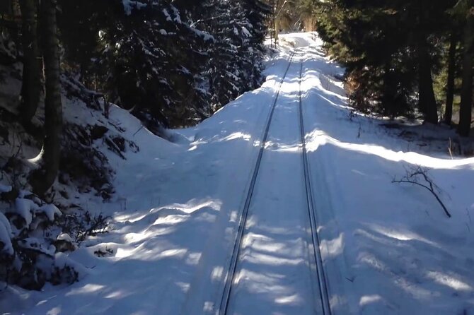 Private Tour to Bakuriani Ski Resort and the Legendary Borjomi - Four hours in Bakuriani Ski Resort