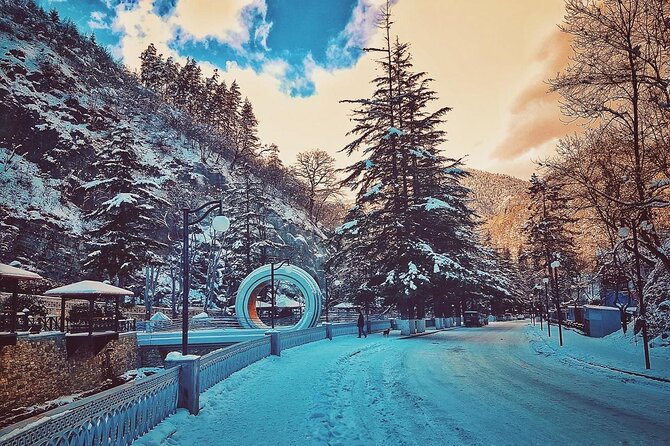 Private Tour to Bakuriani Ski Resort and the Legendary Borjomi - Returning to Borjomi for mineral water and a park walk