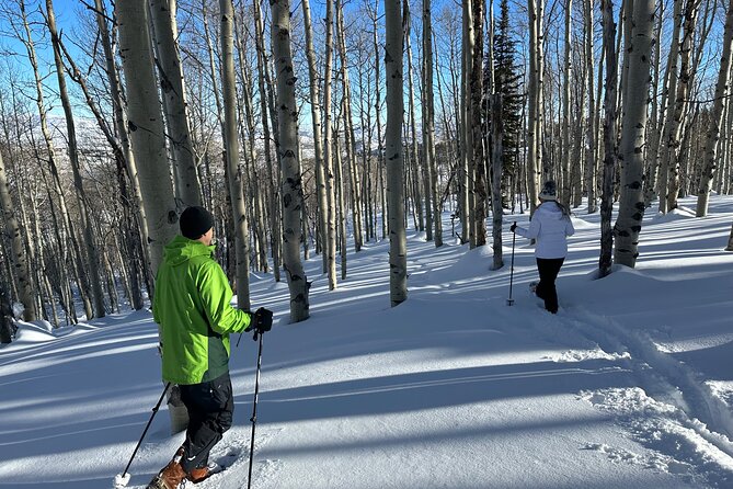 Privately Guided Snowshoe Experience - What your guide adds, and where the experience varies