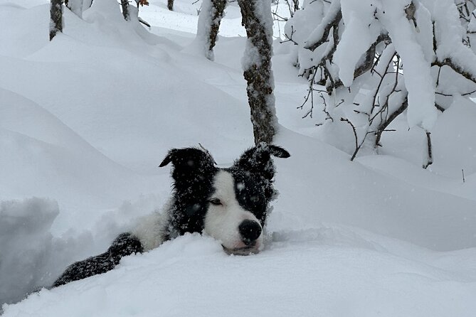 Privately Guided Snowshoe Experience - Is $125 per person a fair price?