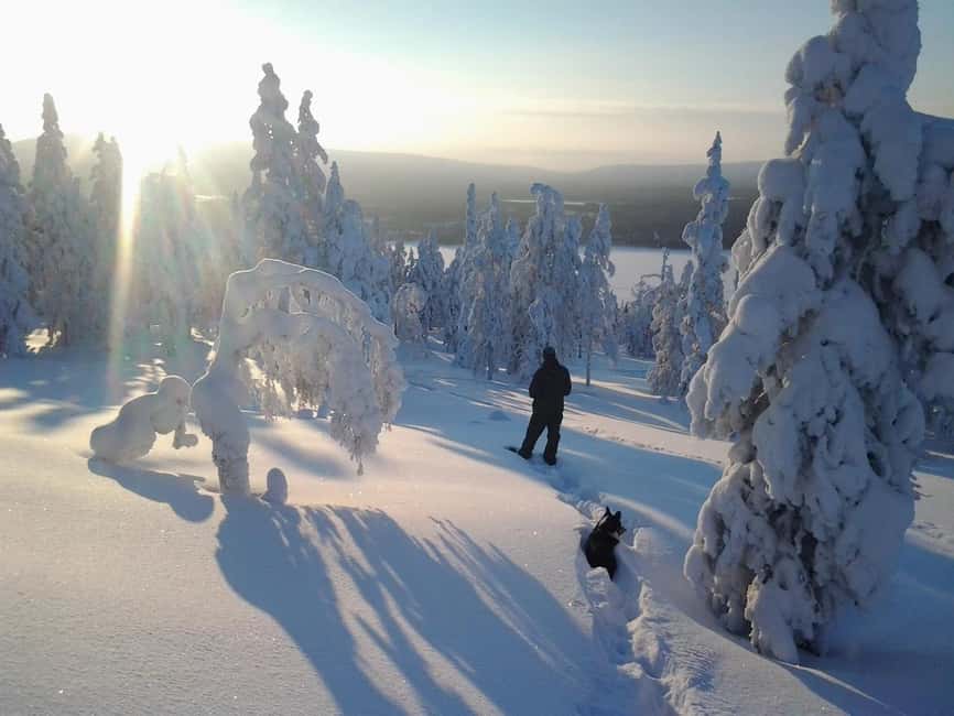 Pyhä: Skiing Tour in Arctic Forest - Frozen lake views and Soutaja Fell