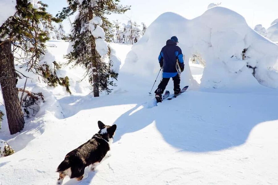 Pyhä: Skiing Tour in Arctic Forest - Meeting Antti and the Lucky Ranch guides